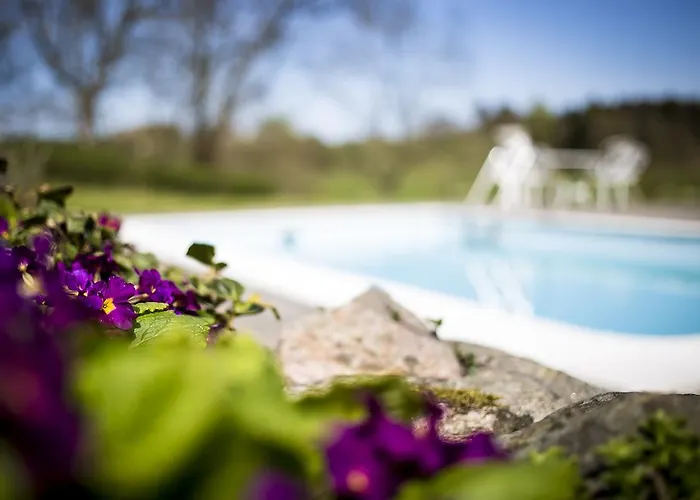 Bed & Breakfast Lille Restrup Hovedgaard Ålestrup